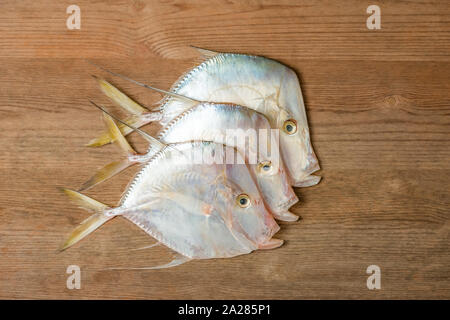 Moonshine Josua tropischen Karibik Fische auf Holzbrett mit drei Organische frische Meeresfrüchte essen Stockfoto