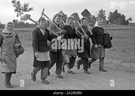 Wiederaufbau im Emsland, 1945-1949. Wiederaufbauarbeiten in Ems region, 1945-49. Stockfoto