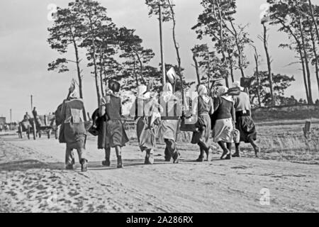 Wiederaufbau im Emsland, 1945-1949. Wiederaufbauarbeiten in Ems region, 1945-49. Stockfoto