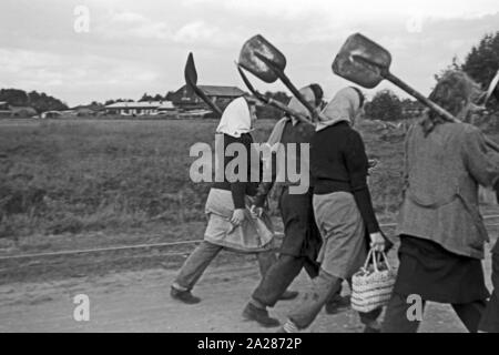 Wiederaufbau im Emsland, 1945-1949. Wiederaufbauarbeiten in Ems region, 1945-49. Stockfoto