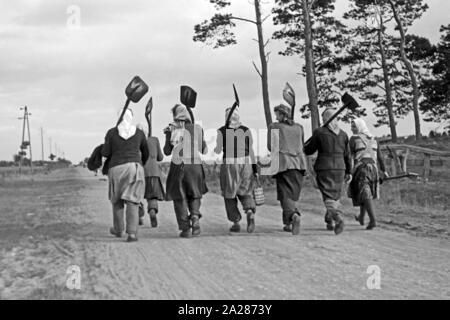 Wiederaufbau im Emsland, 1945-1949. Wiederaufbauarbeiten in Ems region, 1945-49. Stockfoto