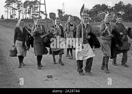 Wiederaufbau im Emsland, 1945-1949. Wiederaufbauarbeiten in Ems region, 1945-49. Stockfoto