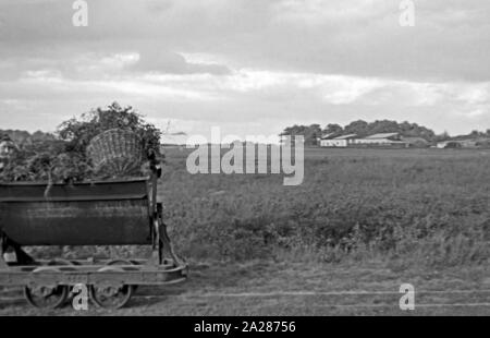 Umsiedleralltag im Emsland, 1945-1949. Von Tag zu Tag der Evakuierten in Ems region, 1945-1949. Stockfoto