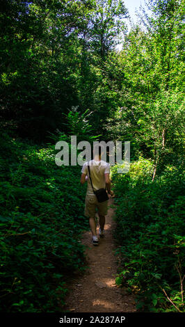 Junge läuft unter viel Vegetation Stockfoto