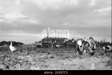 Umsiedleralltag im Emsland, 1945-1949. Von Tag zu Tag der Evakuierten in Ems region, 1945-1949. Stockfoto