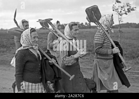 Umsiedleralltag im Emsland, 1945-1949. Von Tag zu Tag der Evakuierten in Ems region, 1945-1949. Stockfoto