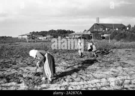 Umsiedleralltag im Emsland, 1945-1949. Von Tag zu Tag der Evakuierten in Ems region, 1945-1949. Stockfoto