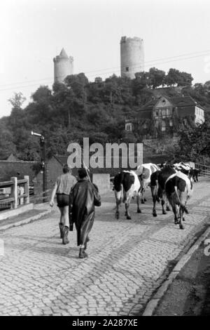 In der Ortschaft unterhalb der Burg Saaleck Saaleck im Burgenlandkreis Kühe treiben Kinder über die Straße, Deutschland 1950. Im Dorf mit Saaleck Saaleck Schloss auf einem Hügel, Kinder führenden Vieh entlang der Straße, Deutschland 1950. Stockfoto