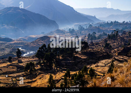 Colca Tal, Arequipa, Peru, Südamerika. Stockfoto