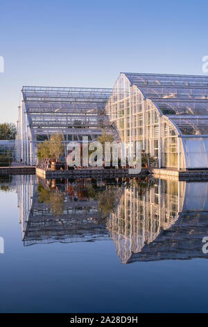 Gewächshaus an der RHS Wisley Gardens in der Abendsonne. Surrey, England Stockfoto