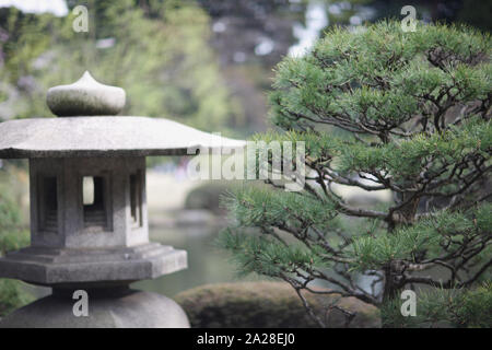 Stein Laterne und ein Zwerg Kiefer am Ufer des Teiches im japanischen Garten Stockfoto