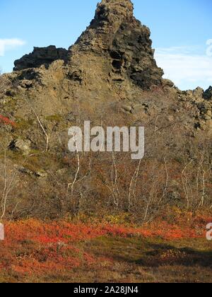 Herbstliche Farben in der Vegetation einen herrlichen Kontrast zu den dramatischen vulkanischen Landschaft von Dimmuborgir machen; Island, September 2019 Stockfoto