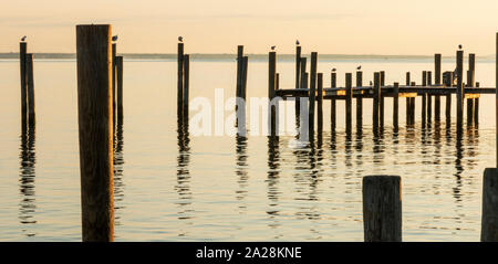 Sonnenaufgang vor der Küste von Fire Island National Sea Shore mit Reflektierende aus der Pole mit Möwen stehen Ihnen über das Wasser. Stockfoto