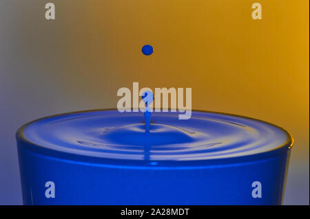 Spritzen der blaue Milch fällt auf gelb und blau bicolor Hintergrund. Hintergrund. Platz für Text. Stockfoto