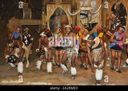 Zulu Truppe führen Sie in traditioneller Kleidung an der Shakaland Zulu Cultural Village, Eshowe, KwaZulu-Natal, Südafrika Stockfoto