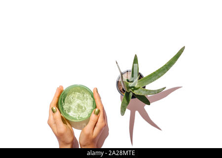 Weibliche Hände mit grünen Maniküre halten Behälter mit Kosmetik Aloe Gel weiter wächst im Topf auf weißen Tisch zu pflanzen, Ansicht von oben. Stockfoto