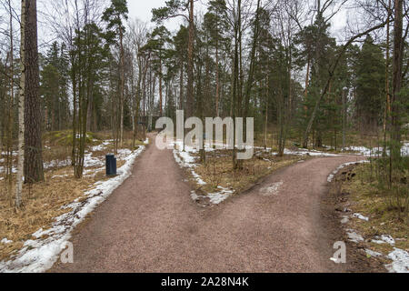 Helsinki, Finnland - 01 März 2015: Pfad in den Wald auf der Insel Seurasaari. Die Open-air Museum, Ulkomuseo. Winter Saison. Stockfoto