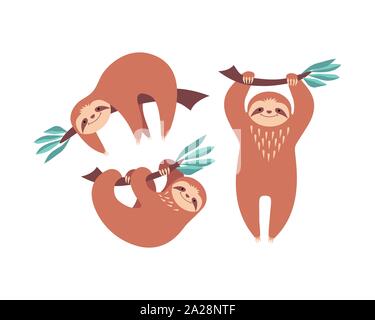 Satz von cute cartoon Faultiere auf weißem Hintergrund. Flache Vector Illustration. Stock Vektor