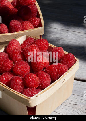 Kleine Körbe von Farmers Market ready Pints, 550 ml, der frisch gepflückte Himbeeren auf einen Garten Arbeitstisch in der Sonne Stockfoto