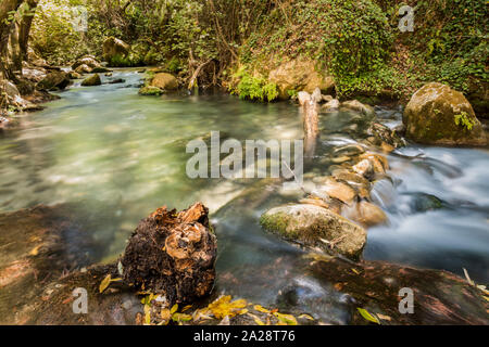 Mountain Stream von sauberen und klaren Wasser, fließt zwischen den Felsen durch den Wald. Majaceite Fluss in seinem Transit durch die Sierra de Grazal Stockfoto