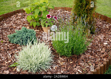 Blumenbeet mit unterschiedlichen Blumen mit Rindenmulch im Sommer abgedeckt. Solar Lampe in der Mitte. Stockfoto