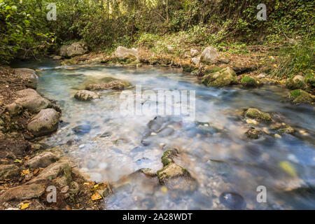 Mountain Stream von sauberen und klaren Wasser, fließt zwischen den Felsen durch den Wald. Majaceite Fluss in seinem Transit durch die Sierra de Grazal Stockfoto