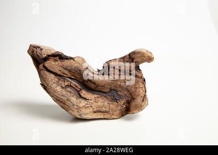 Stücke von drift wood auf weißem Hintergrund Stockfoto