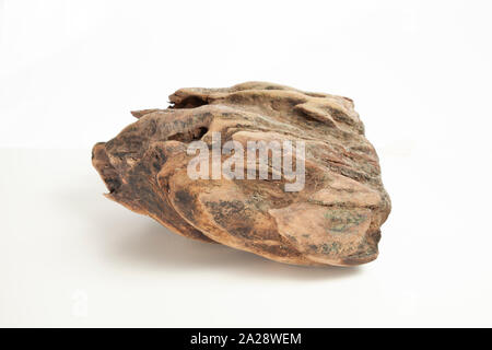Stücke von drift wood auf weißem Hintergrund Stockfoto