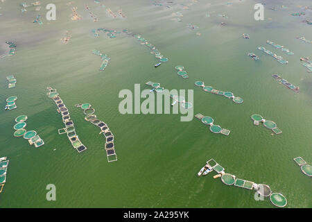 Fischzucht mit Käfigen für Fische und Garnelen auf dem See Taal, Ansicht von oben. Fisch Käfig für Tilapia, milchfisch Landwirtschaft Aquakultur oder Fischzucht Praktiken. Philippinen, Luzon. Stockfoto