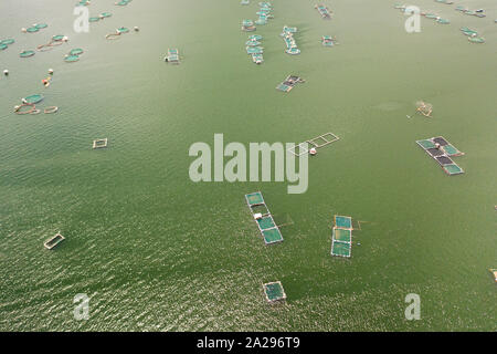 Fischzucht mit Käfigen für Fische und Garnelen auf dem See Taal, Ansicht von oben. Fisch Käfig für Tilapia, milchfisch Landwirtschaft Aquakultur oder Fischzucht Praktiken. Philippinen, Luzon. Stockfoto