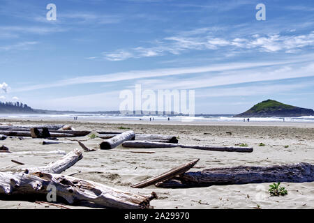 Viel Treibholz an der Küste des Pazifischen Ozeans, Vancouver Island Stockfoto