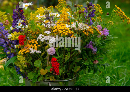 Helle herbst Bouquet von Wild- und Garten Blumen auf einem Hintergrund von grünem Gras. Stockfoto