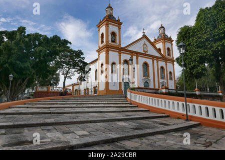 Die Metropolitankathedrale von Manaus Brasilien Stockfoto