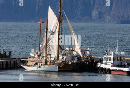 Die námafjall geothermale Region im Nordosten Islands. Stockfoto