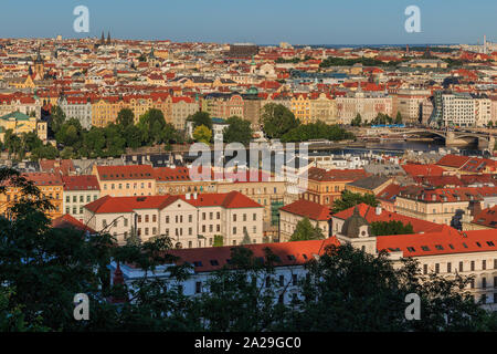 Blick über die Dächer und historischen Gebäuden von Prag die Hauptstadt der Tschechischen Republik an einem sonnigen Tag mit blauen Himmel und Büsche im Vordergrund. Stockfoto