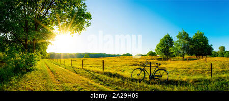 Landschaft im Sommer mit Bäumen und Wiesen bei strahlendem Sonnenschein Stockfoto