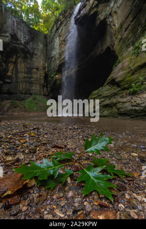 Wasserfall in Tonti Canyon Nach einer September Regen. Verhungert Rock State Park, Illinois, USA Stockfoto