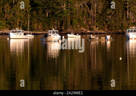 Fischerboot in Frenchman Bay, Downeast Maine, USA günstig Stockfoto
