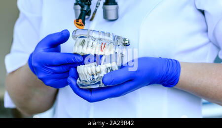 Echten Arzt hält eine zahnmedizinische Zähne Modell in der Zahnheilkunde Klinik. Mundhygiene und kieferorthopädische Behandlung auf dem Hintergrund der Klinik Labor. Konzeptionelle Bild Stockfoto