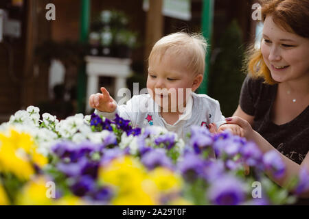 Ein Jahr alten Erkundung Flower Shop mit ihrer Mutter. Anfassen und Riechen bunte Stiefmütterchen. Stockfoto