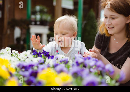 Ein Jahr alten Erkundung Flower Shop mit ihrer Mutter. Anfassen und Riechen bunte Stiefmütterchen. Stockfoto