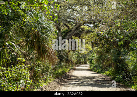 Markierung am Eingang zum historischen Jungle Trail auf Orchid Island in Vero Beach, Florida. Die acht - Meile sandigen Weg in den 1920er Jahren entlang der Ufer des Indian River führt zu Pelican Island Sanctuary, dem ersten Wildlife Refuge in die U.S. Stockfoto