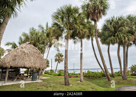 Palmen entlang des Stuart Boardwalk in Flagler Park in der historischen Innenstadt in Stuart, Florida. Der winzige Weiler wurde im Jahr 1870 gegründet und war der glücklichste Stadt am Meer in Amerika von Küste gestimmt. Stockfoto