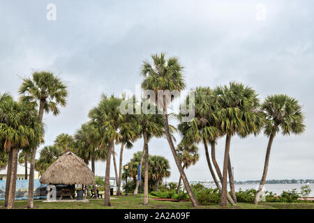 Palmen entlang des Stuart Boardwalk in Flagler Park in der historischen Innenstadt in Stuart, Florida. Der winzige Weiler wurde im Jahr 1870 gegründet und war der glücklichste Stadt am Meer in Amerika von Küste gestimmt. Stockfoto