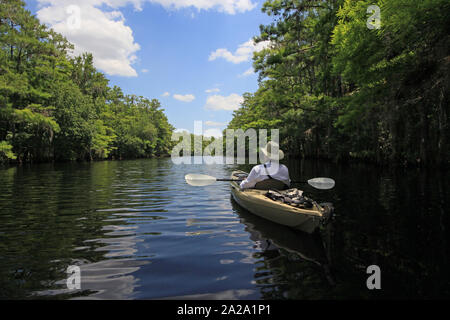 Active Senior Kajakfahren auf fisheating Creek, Florida auf ruhigen Frühsommer Nachmittag inmitten von Wolken und Zypressen im Wasser wider. Stockfoto