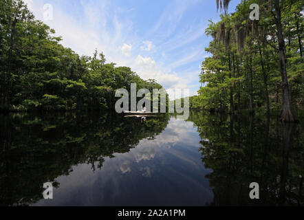 Active Senior Kajakfahren auf fisheating Creek, Florida auf ruhigen Frühsommer Nachmittag inmitten von Wolken und Zypressen im Wasser wider. Stockfoto