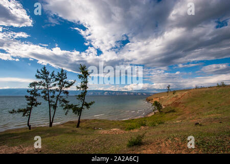 Dünne Bäume am Ufer des Baikalsees. Bunte Landschaft mit wunderschönen Wolken am Himmel. Berge am Horizont, die Wellen auf dem See. Stockfoto