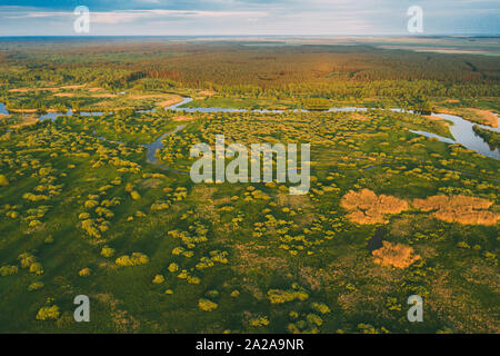 Luftaufnahme von Ebene mit grünen Wald Wald- und Flusslandschaft im sonnigen Frühling Abend. Blick von oben auf die schöne Natur von hohen Haltung In Stockfoto