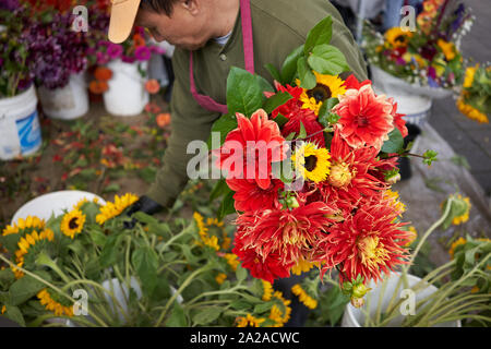 Ein Landwirt pflückt am 14. September 2019 Blumen, um einen Strauß auf dem Samstagsmarkt in Lake Oswego, Oregon, zu machen. Stockfoto