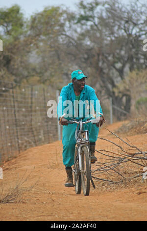 Arbeitnehmer im blauen Anzug auf einem Fahrrad, Marloth Park, direkt angrenzend an den Kruger National Park. Stockfoto